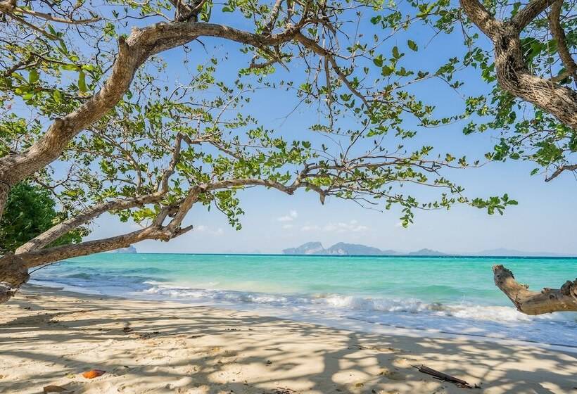 호텔 Sevenseas Resort Koh Kradan