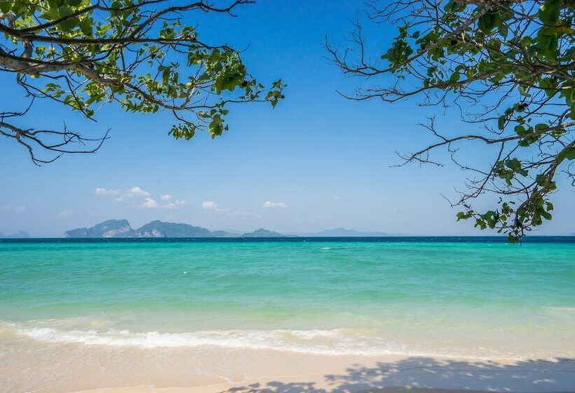 호텔 Sevenseas Resort Koh Kradan