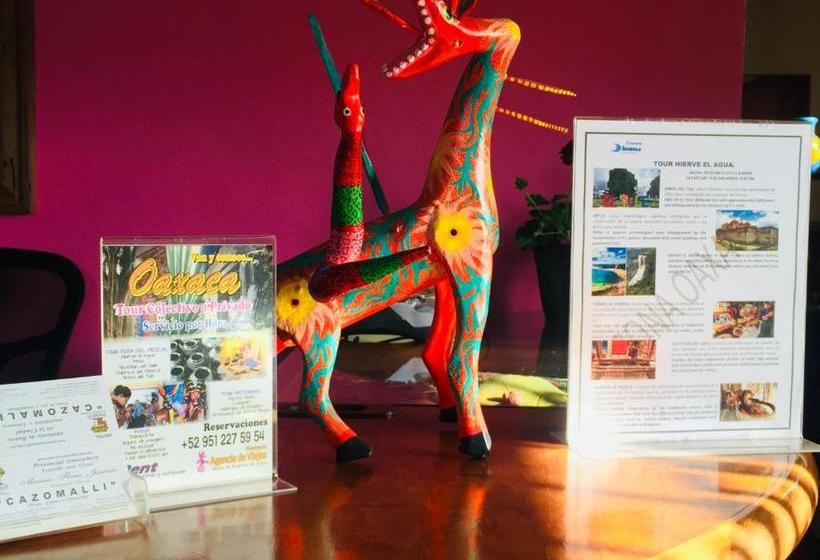 فندق Cazomalli Oaxaca