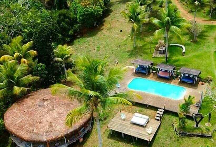 בית מלון כפרי Art Jungle Eco Lodge