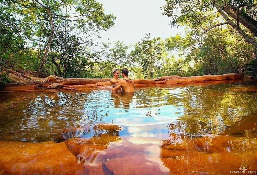 בית מלון כפרי Art Jungle Eco Lodge