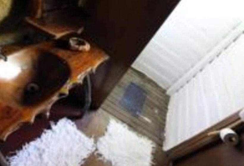 בית מלון כפרי Art Jungle Eco Lodge