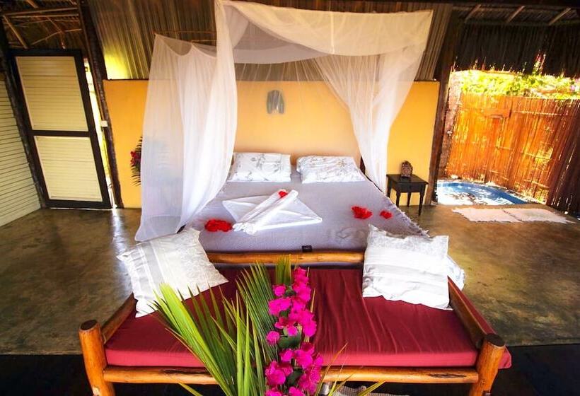 בית מלון כפרי Art Jungle Eco Lodge