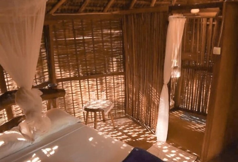 בית מלון כפרי Art Jungle Eco Lodge