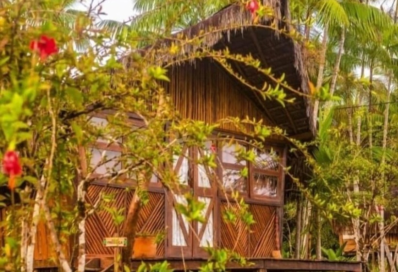 בית מלון כפרי Art Jungle Eco Lodge