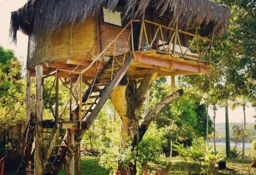 בית מלון כפרי Art Jungle Eco Lodge