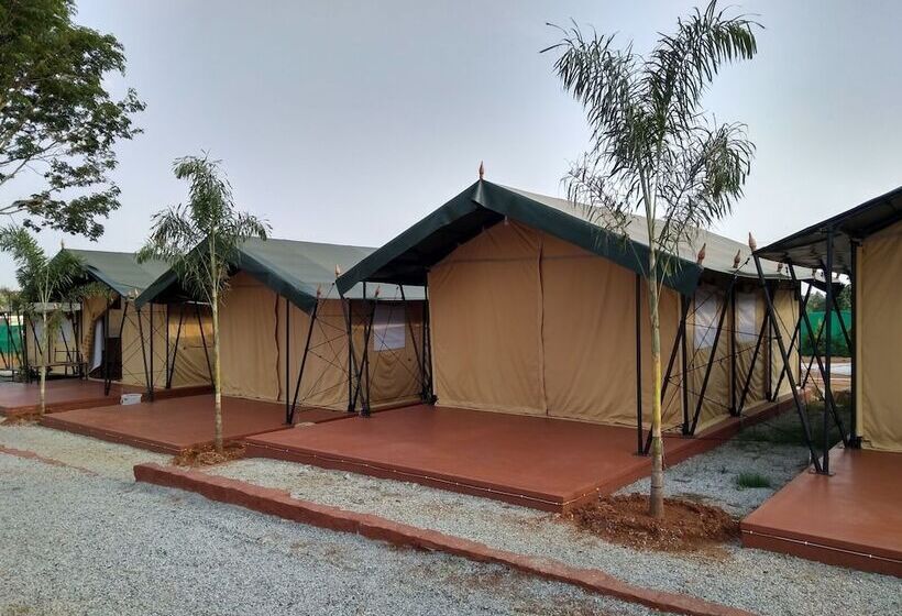 בית מלון כפרי Campinground