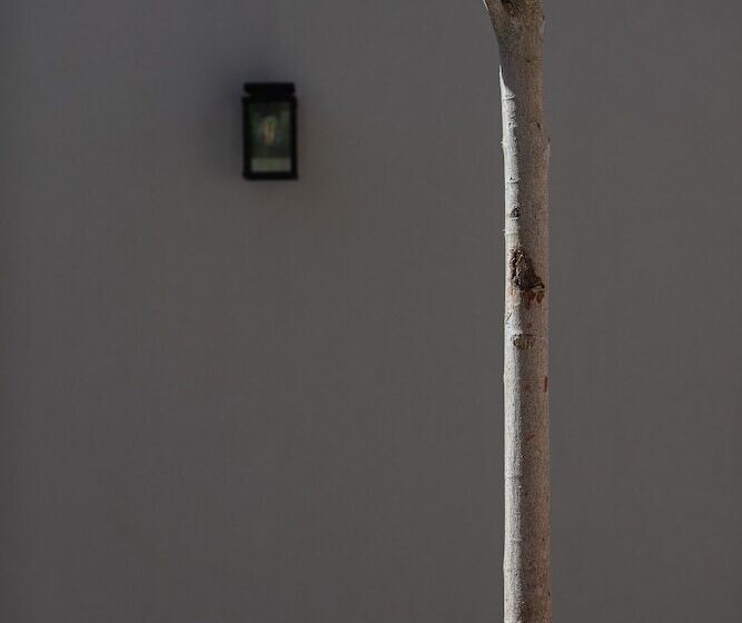 هتل λιθεία Lithia