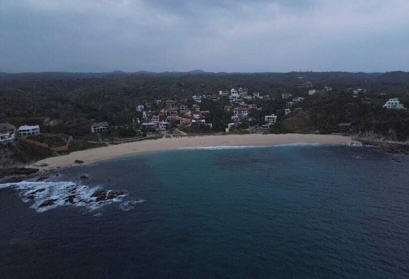 فندق Pacific King