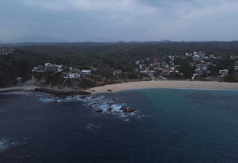 فندق Pacific King