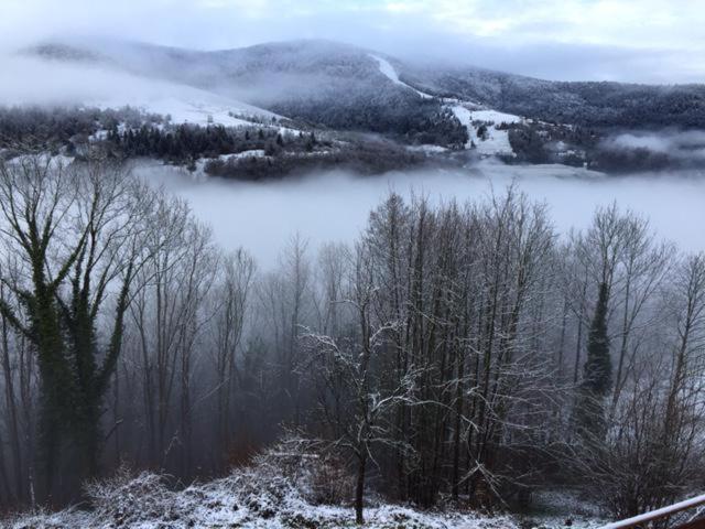 田舎風ホテル La Parenthèse Vosgienne