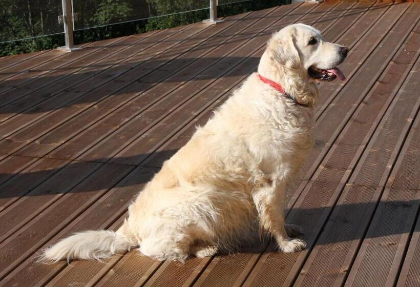 田舎風ホテル La Parenthèse Vosgienne