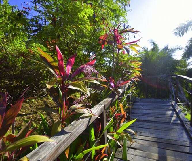 فندق Villas Punta India