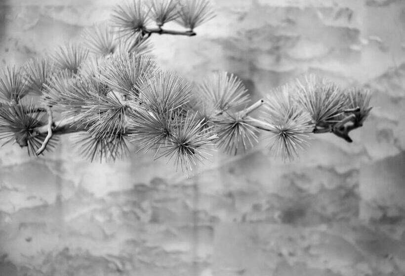 Novotel Changsha International Exhibition Center