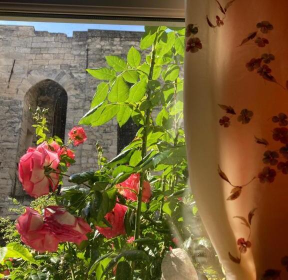 פנסיון Cocooning Avignon