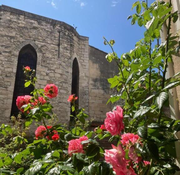 פנסיון Cocooning Avignon