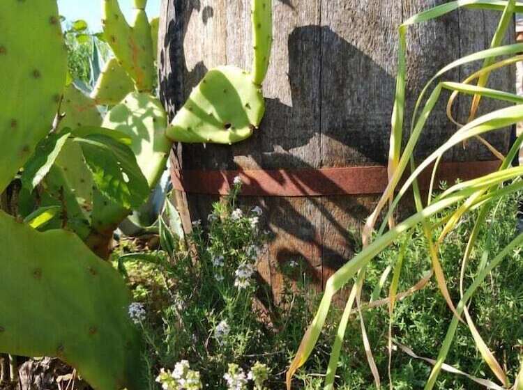 פנסיון La Borieta