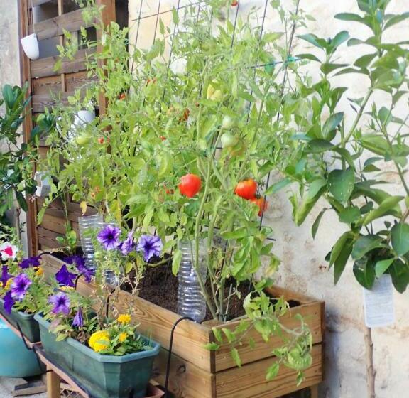 Пансион La Miramboise, Chambres Et Table D Hôtes