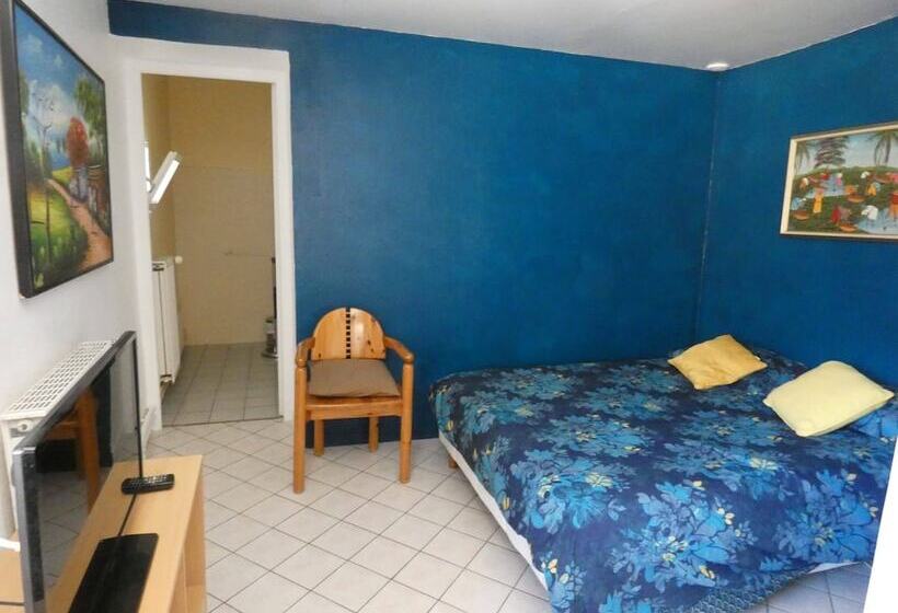 بنسيون Le Mas Du Sillot