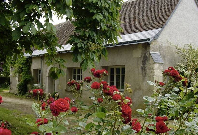 بنسيون Villandry  Domaine De L Augeonnière