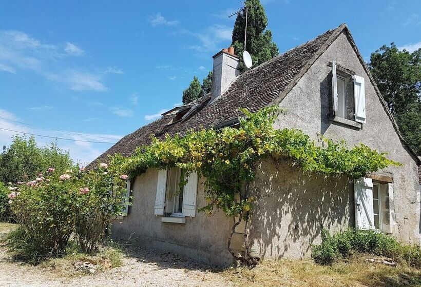 بنسيون Villandry  Domaine De L Augeonnière