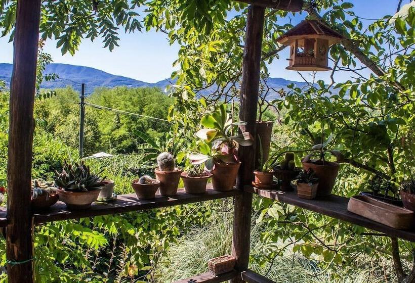 レジデンス Tuscan Hills Near Florence   Stone Farm House
