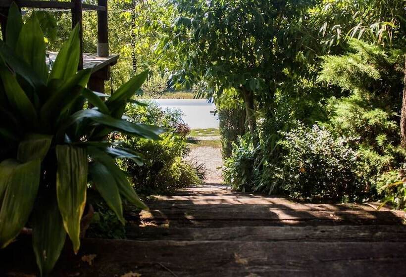 レジデンス Tuscan Hills Near Florence   Stone Farm House