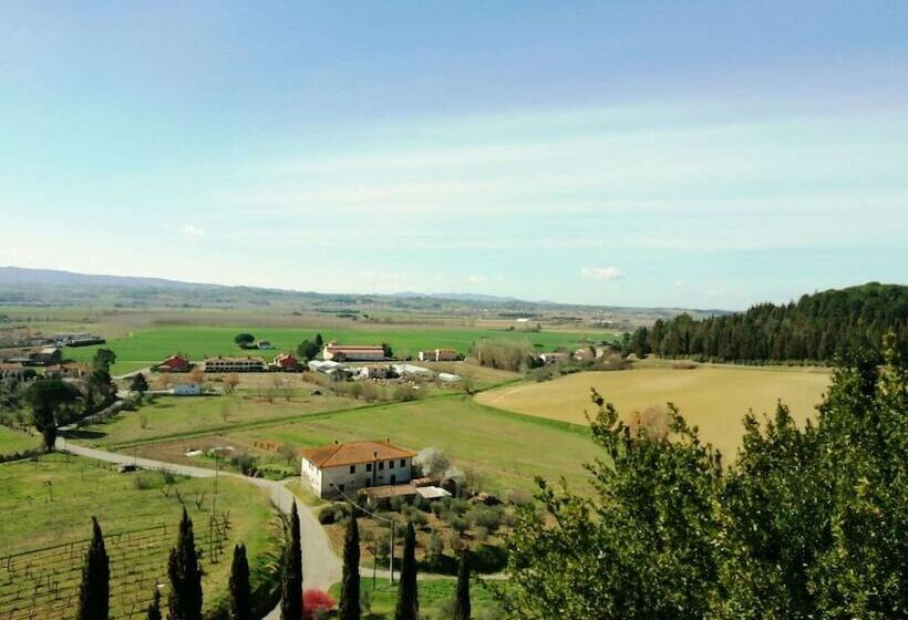 Spacious Cottage In Palaia With Private Pool