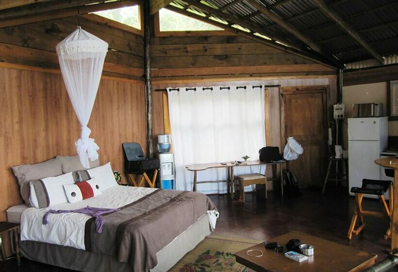 ホテル Amapondo Backpackers Lodge