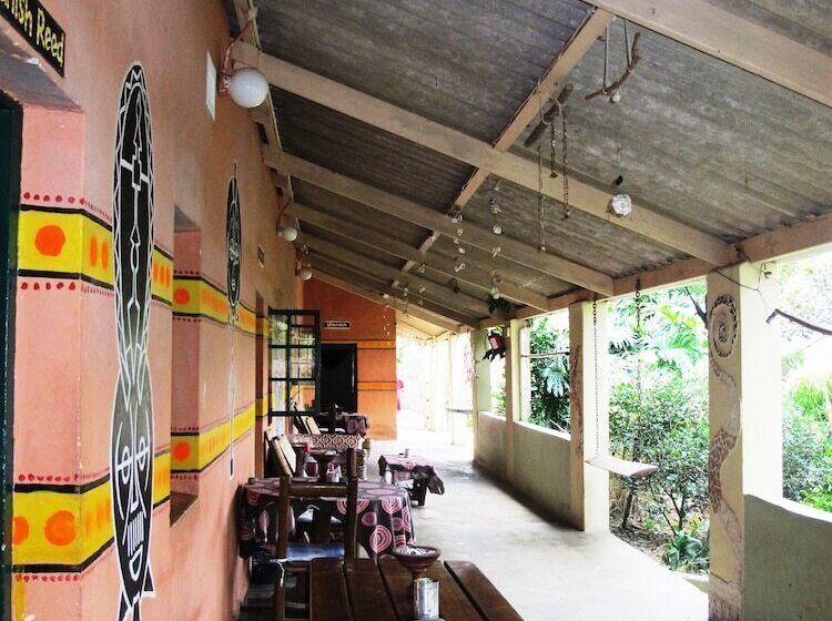 Отель Amapondo Backpackers Lodge