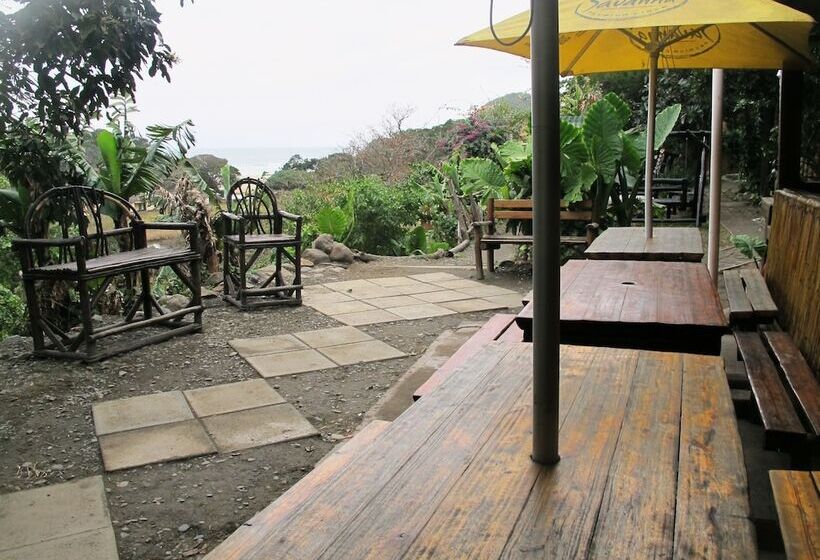 ホテル Amapondo Backpackers Lodge