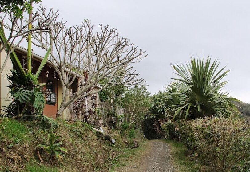 ホテル Amapondo Backpackers Lodge