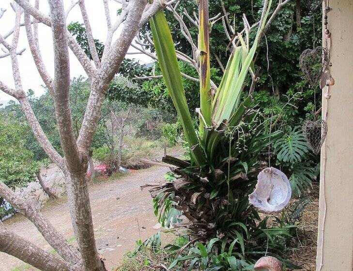 ホテル Amapondo Backpackers Lodge