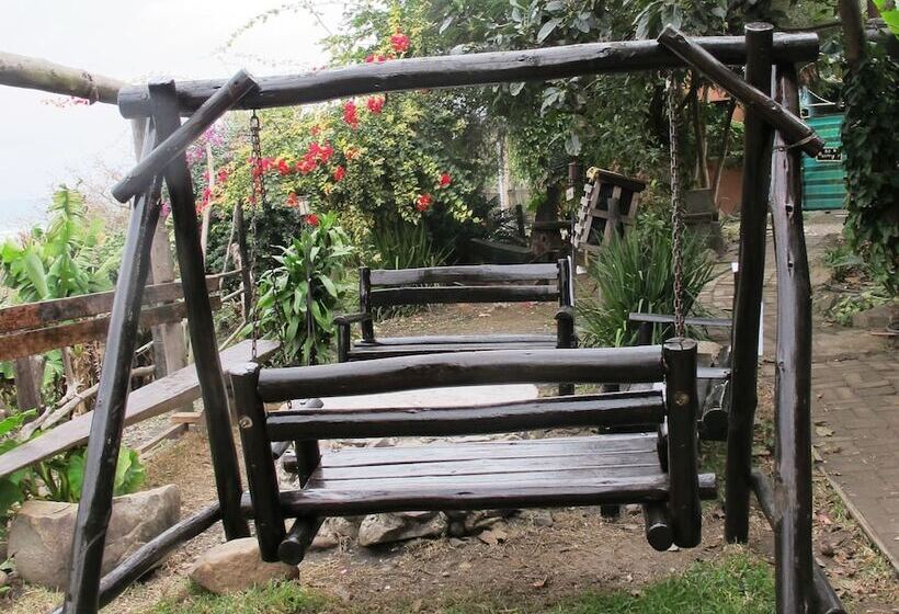 ホテル Amapondo Backpackers Lodge