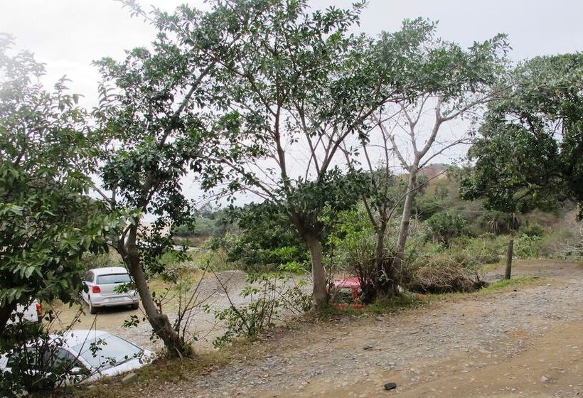 ホテル Amapondo Backpackers Lodge