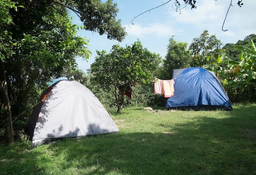 ホテル Amapondo Backpackers Lodge