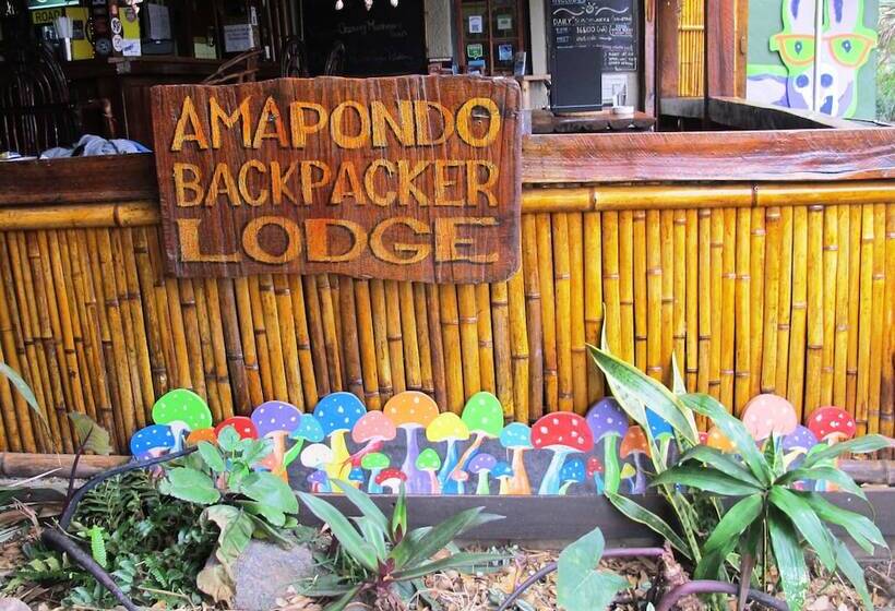 Отель Amapondo Backpackers Lodge
