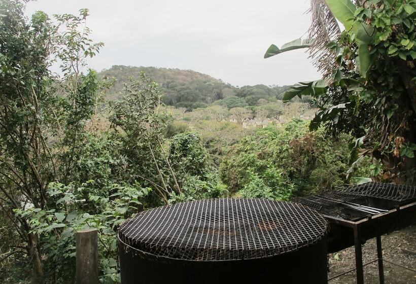 ホテル Amapondo Backpackers Lodge