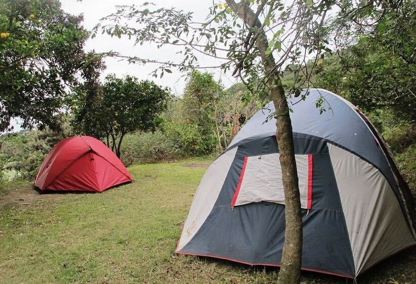 ホテル Amapondo Backpackers Lodge