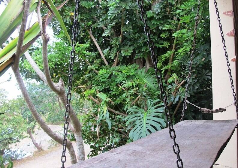 ホテル Amapondo Backpackers Lodge