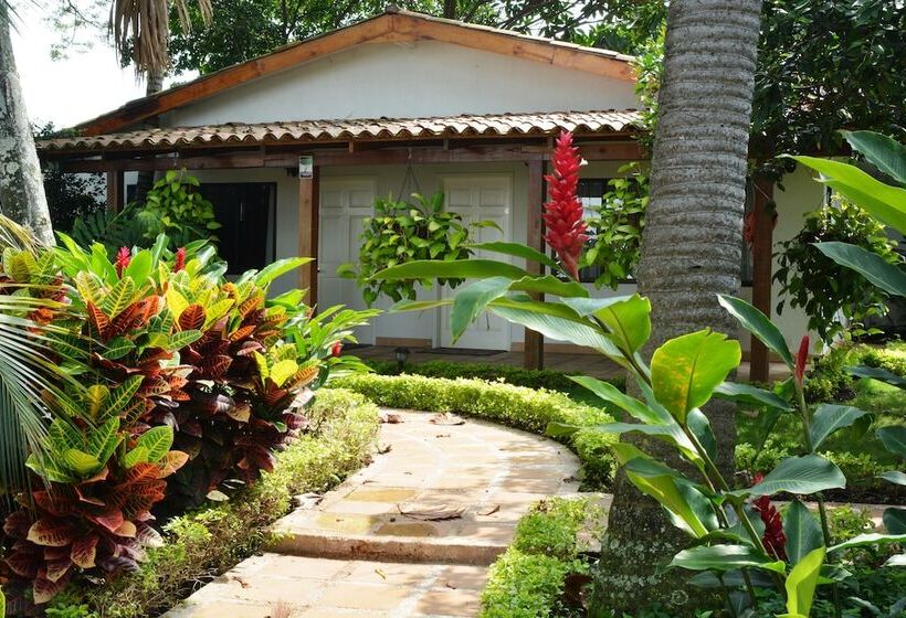 Отель Boutique Villa Casuarinas