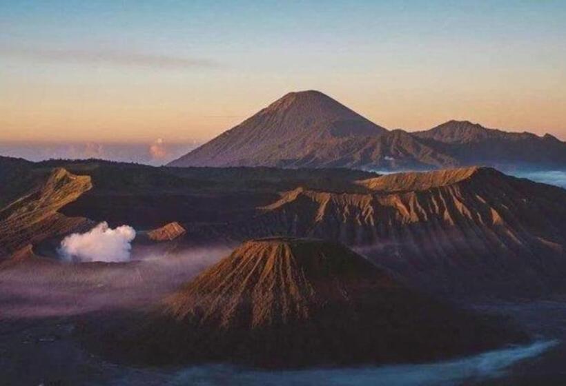 Отель Ijen Mansjestic B&b