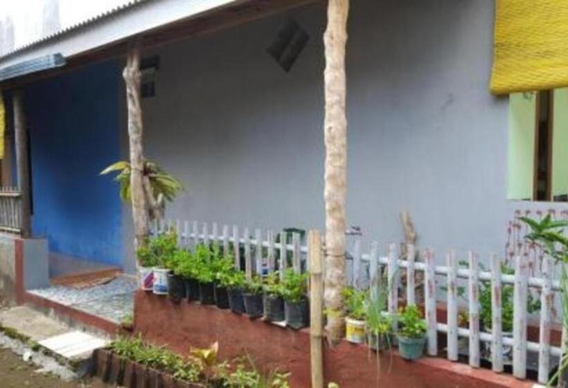 Отель Ijen Mansjestic B&b