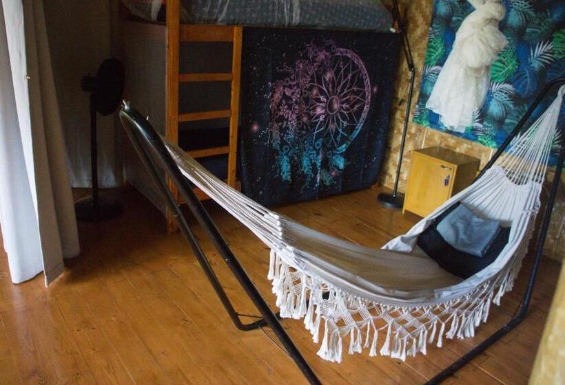 호텔 Nautilus Hostel & Hammocks