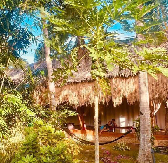 Hôtel Nautilus Hostel & Hammocks