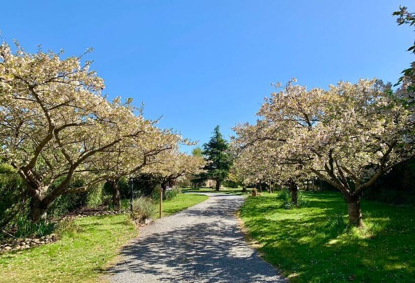 فندق Newlands Bed And Breakfast