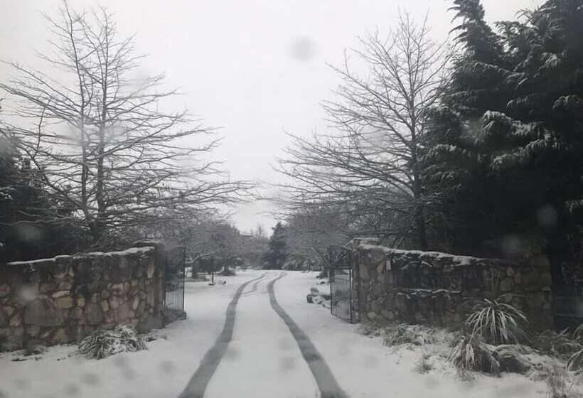 فندق Newlands Bed And Breakfast