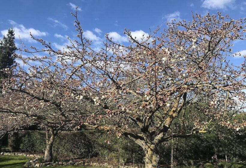 فندق Newlands Bed And Breakfast