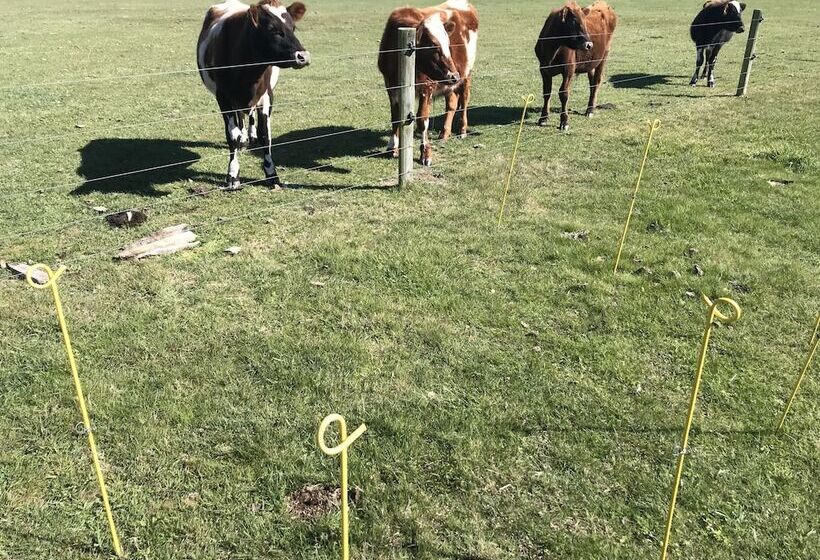 فندق Newlands Bed And Breakfast