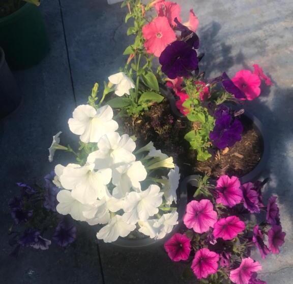 فندق Newlands Bed And Breakfast